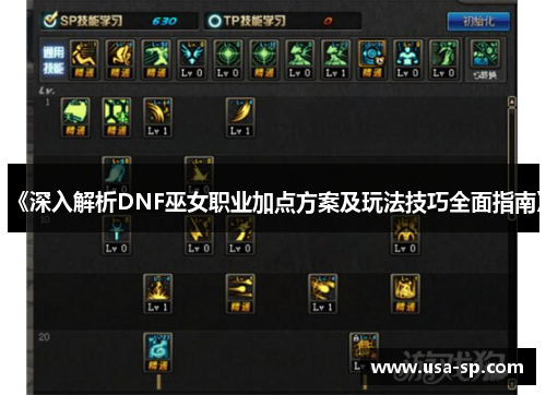 《深入解析DNF巫女职业加点方案及玩法技巧全面指南》